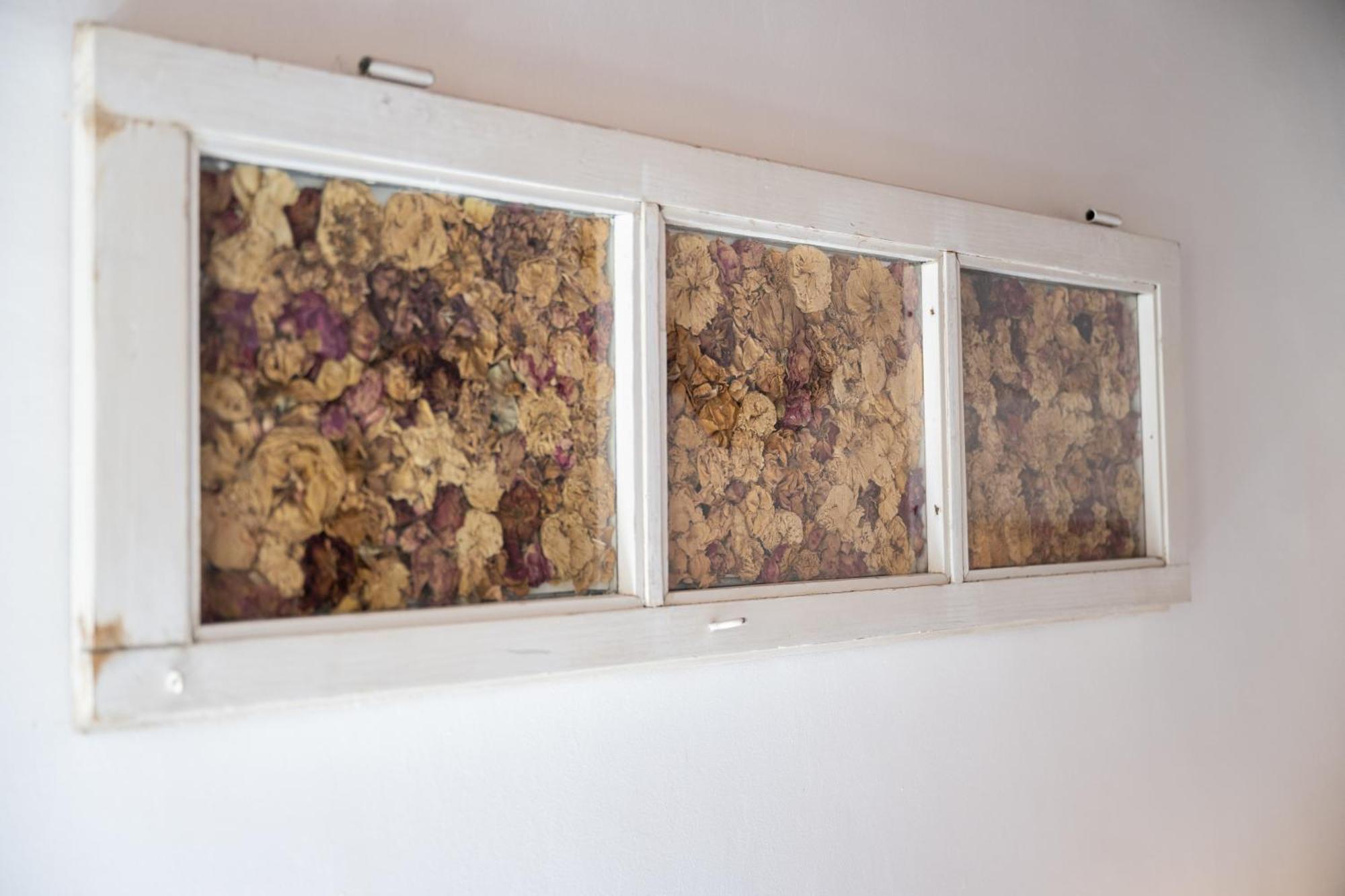 Tipica Cozy House + Parking! Appartement Florence Buitenkant foto