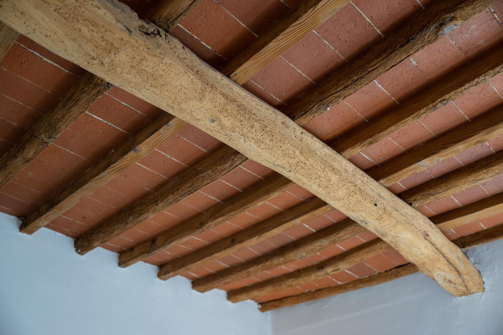 Tipica Cozy House + Parking! Appartement Florence Buitenkant foto