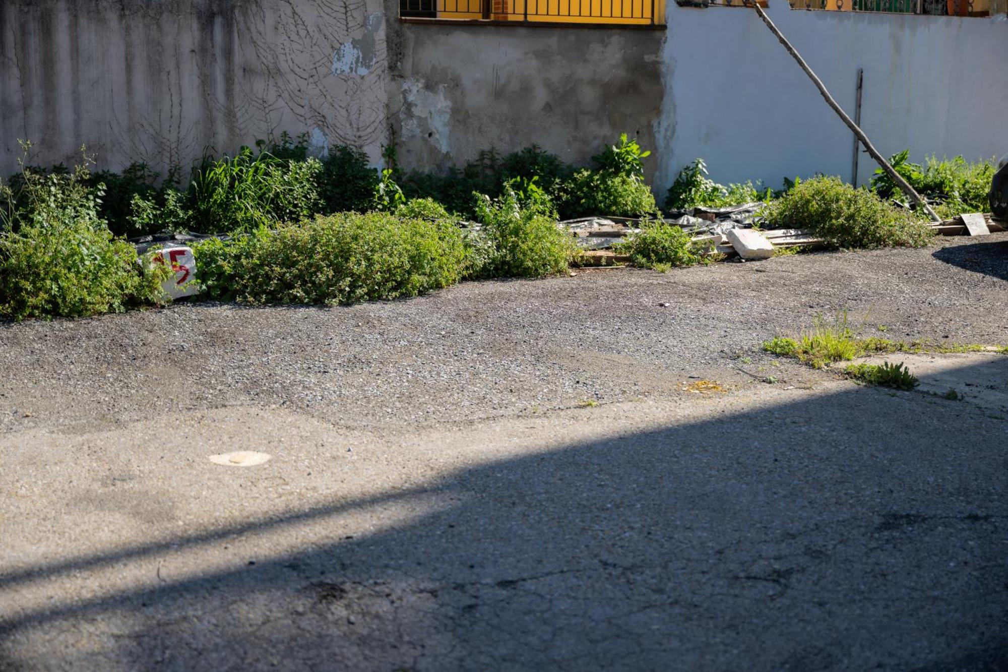 Tipica Cozy House + Parking! Appartement Florence Buitenkant foto